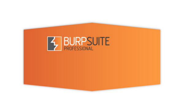 Burp Suite Professional 2022.12.6 [100% Clean] - 专业网络安全测试工具