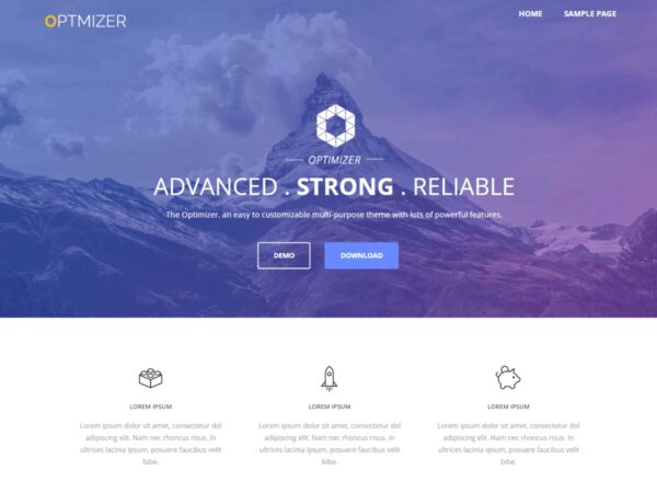 Optimizer PRO WordPress Theme v0.8.0 - 专业WordPress主题优化工具
