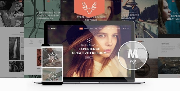 Moose (v3.5) 创意多功能WordPress主题