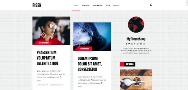 MyThemeShop Risen WordPress Theme v.1.1.3 - 响应式多功能新闻杂志主题