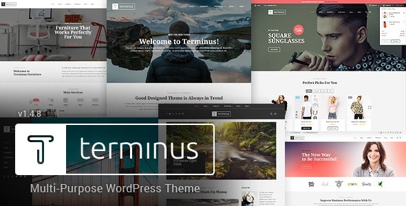 Terminus v1.4.8 多功能WordPress主题 - 适用于各类网站的多用途设计