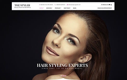CSS Igniter The Styler WordPress Theme v1.4.5 - 响应式设计主题，打造专业网站