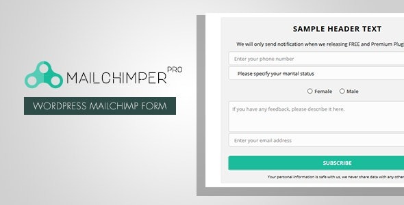 MailChimper PRO v1.8.3.4 WordPress MailChimp注册表单插件 - 高效邮件订阅解决方案