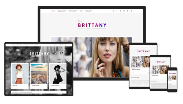 CSSIgniter Brittany WordPress主题v2.2.4 - 响应式多用途网站模板