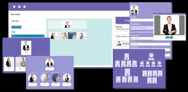 WP Team Display v1.3.22 WordPress团队展示插件