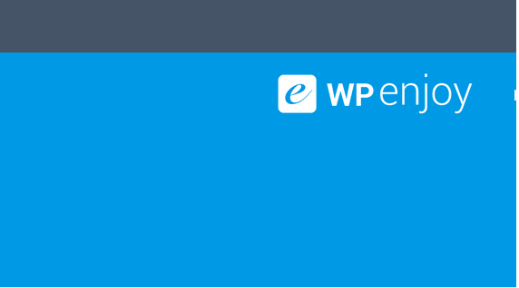WpEnjoy Pro WordPress主题全套插件 - 专业多功能WordPress主题解决方案