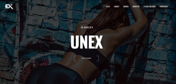 Unex v1.0 Under Construction Template - 专业维护中模板
