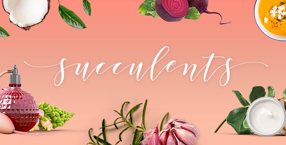 Succulents (v1.5) 健康生活方式与养生主题