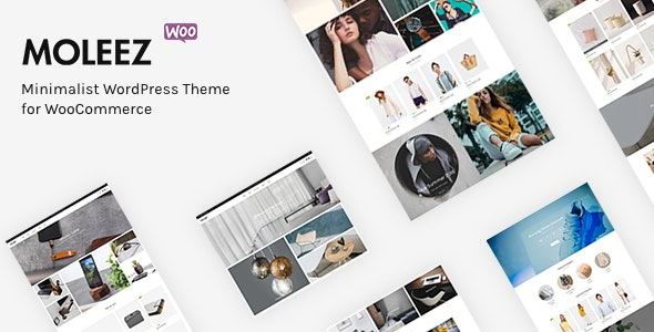 Moleez (v2.4.4) 极简风格WordPress WooCommerce主题