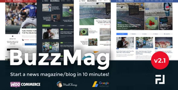BuzzMag v2.3 病毒式新闻 WordPress 杂志/博客主题
