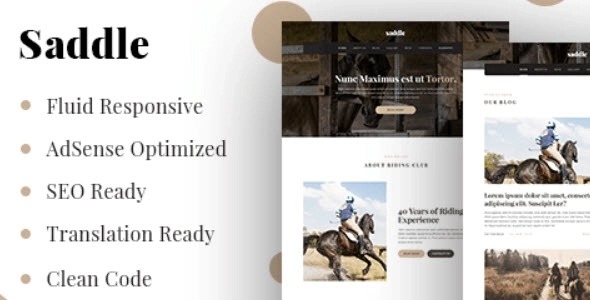 MyThemeShop Saddle (v1.0.10) WordPress主题 - 专业响应式设计
