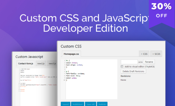 Custom CSS and JavaScript Developer Edition v1.0.22 [Wp Zone] - WordPress自定义CSS和JavaScript开发工具