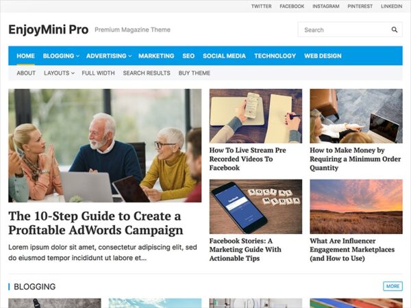 EnjoyMini Pro (v1.0.9) WPEnjoy Theme - 响应式WordPress主题，适合博客和商业网站