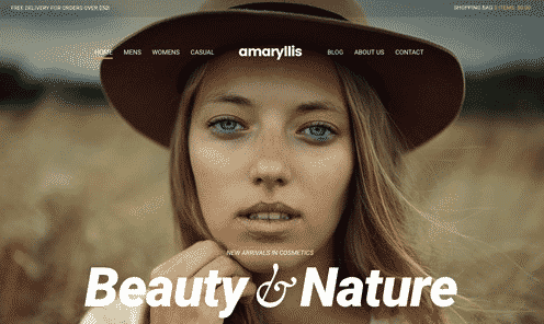 CSS Igniter Amaryllis WordPress主题 v1.2.5 - 响应式多用途网站模板