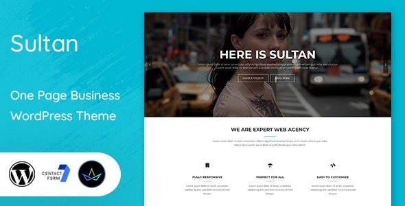 Sultan v2.1 One Page Business WordPress Theme - 单页商业企业网站主题