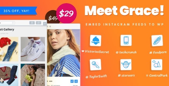 Grace v1.2.8 WordPress Instagram照片动态展示主题