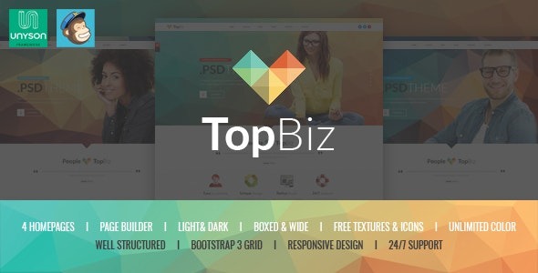TopBiz v1.0.0 响应式企业WordPress主题 - 专业商务网站设计