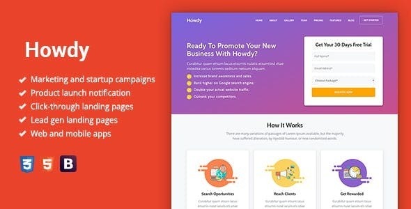 Howdy v1.1.4 多功能高转化率落地页WordPress主题