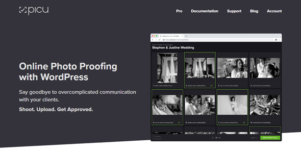 picu Pro (v1.4.6) 在线照片校对WordPress插件