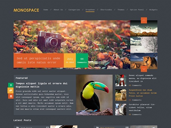 MyThemeShop Monospace WordPress主题 v1.2.3 - 简洁现代的单栏博客主题