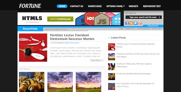 MyThemeShop Fortune WordPress Theme v1.1.0 - 专业响应式多功能主题