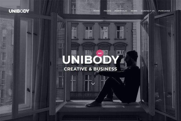 UniBody (v1.1.0) 优雅商业WordPress主题