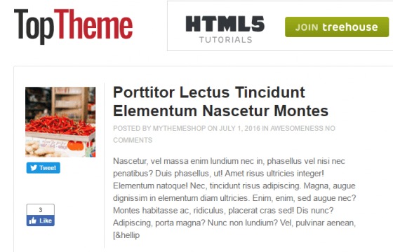 MyThemeShop Top (v1.2.0) WordPress主题 - 最佳WordPress主题选择