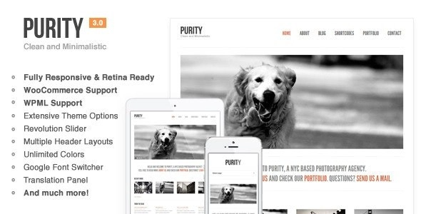 Purity (v4.5.1) 响应式、极简与大胆的WordPress主题