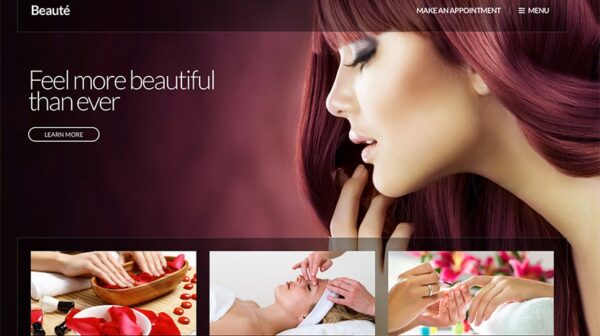 CSS Igniter Beaute v2.0.6 WordPress主题 - 优雅设计与强大功能