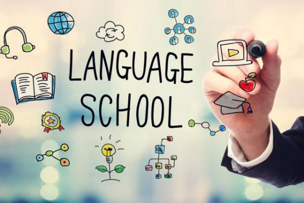 Language School v1.0.6 - 专业语言学校WordPress主题
