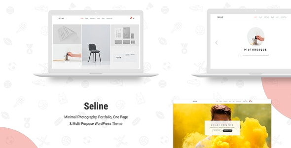 Seline (v1.1.4) 创意摄影与作品集WordPress主题