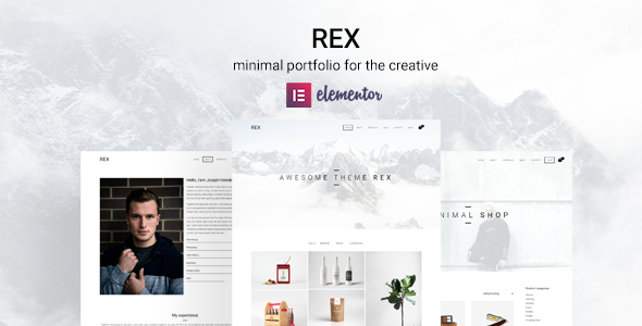 Rex (v4.0.1) 极简WordPress作品集主题