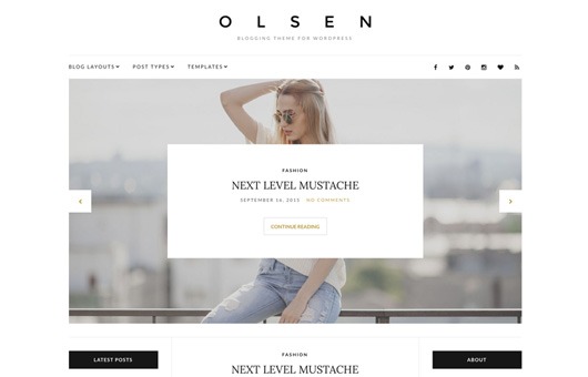 CSS Igniter Olsen Pro v2.8.5 WordPress主题 - 时尚博客与杂志风格