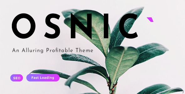 Osnic v3.0.0 Adsense WordPress Theme - 专为AdSense和联盟营销优化的博客杂志主题