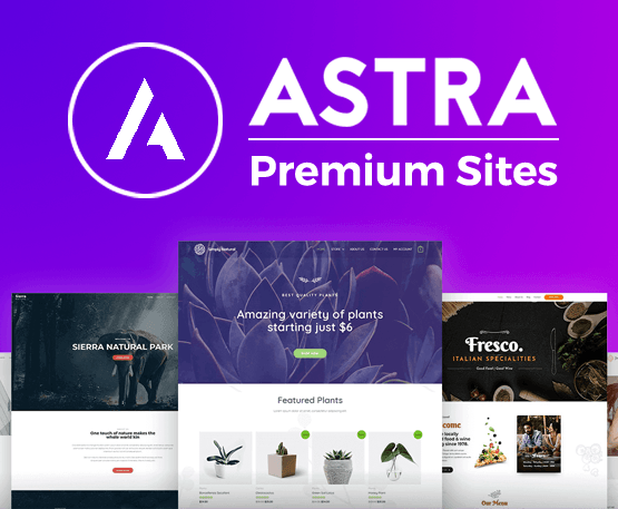 Astra Premium Starter Templates v4.4.19 - 专业WordPress主题模板套件