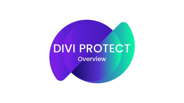 Divi Protect v2.3 使用Divi Protect插件保护Divi模块的密码功能