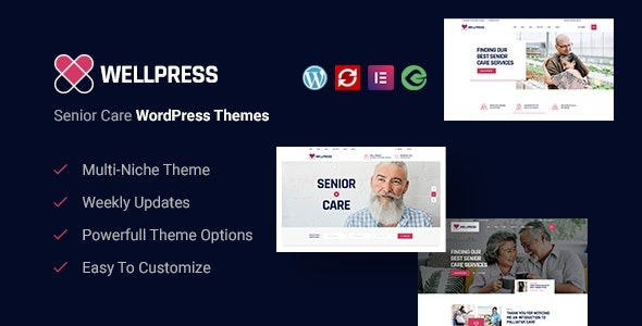 WellPress (v2.0.3) 高级护理WordPress主题
