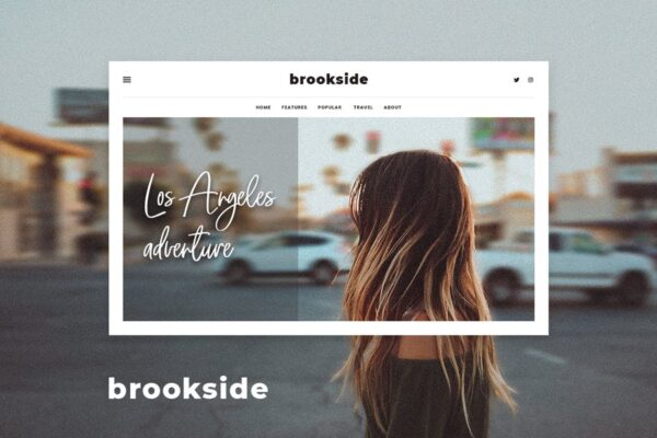 Brookside v1.4 个人WordPress博客主题 - 优雅设计与个性化体验