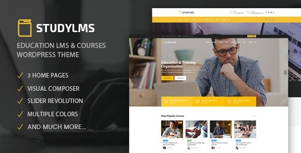 Studylms v1.29 教育学习管理系统和课程WordPress主题