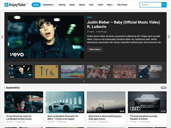 EnjoyTube Pro (v1.0.8) WPEnjoy Theme - 专业视频分享WordPress主题