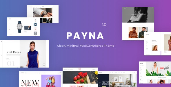 Payna (v1.2.7) 简洁极简的WooCommerce主题