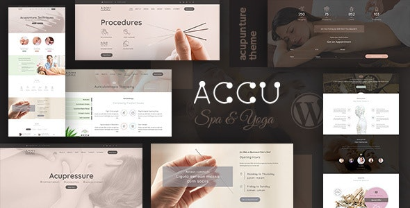 Accu v3.5 Healthcare, Massage WordPress Theme - 针灸与按摩医疗WordPress主题