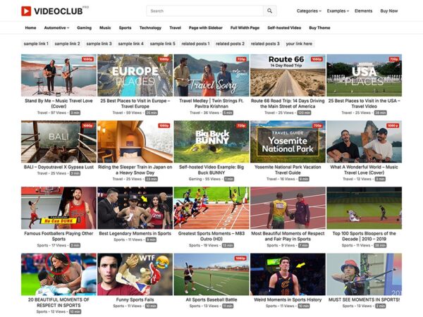 VideoClub Pro v1.0.2 - 专业视频俱乐部WordPress主题