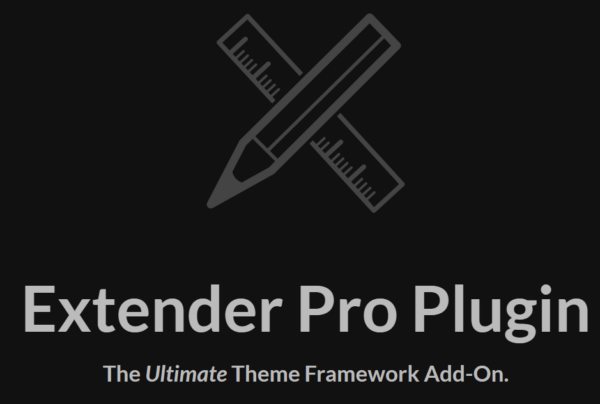 Extender Pro v1.4.6 - WordPress高级自定义插件，扩展您的网站功能