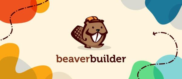 Beaver Builder PRO (Agency) (v2.9.0.3) + Theme v1.7.18 - 专业WordPress页面构建器与主题套装