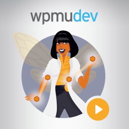 WPMU DEV Beehive Pro (v3.4.17) - 专业的WordPress谷歌分析插件