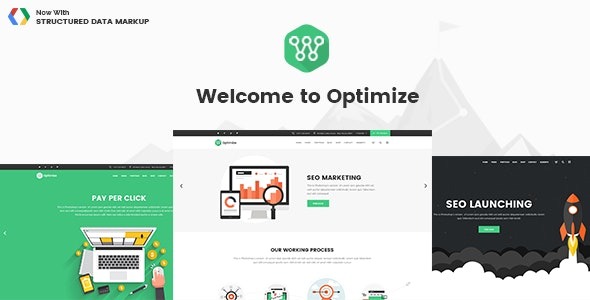 Optimize v2.1 SEO & Social Media Theme - SEO优化与社交媒体WordPress主题
