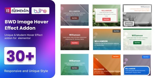BWD Image Hover Effect addon for elementor v1.0 - 强大的Elementor图片悬停特效插件
