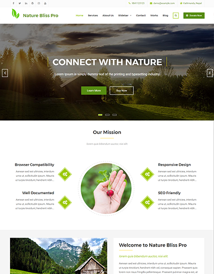 Nature Bliss Pro v2.1.2 - 自然幸福专业版WordPress主题
