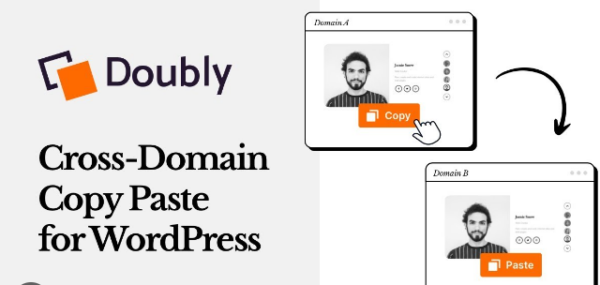 Doubly Pro v1.0.37 - 多功能WordPress主题插件，提升网站互动体验